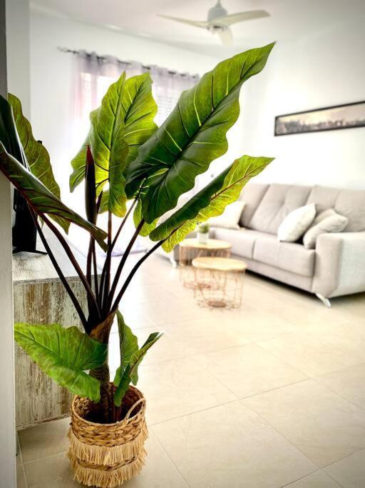 Mychoice Toreros By Bossh! Apartment Rota